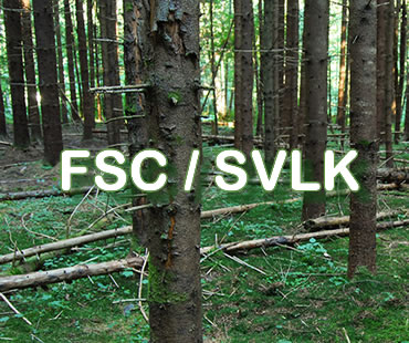 Konsultan FSC/SVLK